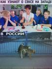 Прикрепленное изображение: photo_2021-03-28_09-57-22.jpg