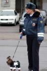 Прикрепленное изображение: Zb9I1JQjd8A.jpg