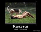 Прикрепленное изображение: 1вам.jpg