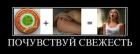 Прикрепленное изображение: image.jpeg
