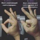 Прикрепленное изображение: жесты.jpg