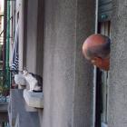 Прикрепленное изображение: 1587486475.jpg