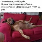 Прикрепленное изображение: 1585675410.jpg