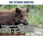Прикрепленное изображение: 1586245137.jpg