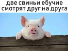 Прикрепленное изображение: IMG_20200408_133949_040.jpg