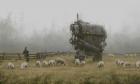 Прикрепленное изображение: yakub-rozalski_008.jpg