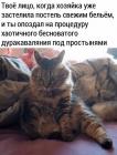 Прикрепленное изображение: Дуракаваляние под простынями.jpg