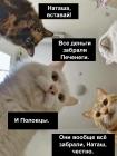 Прикрепленное изображение: TrH9us9bPv8.jpg