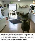 Прикрепленное изображение: 1617787662.jpg
