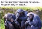 Прикрепленное изображение: 176049818_134336738702705_83150077037338576_n.jpg