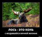 Прикрепленное изображение: TGZxn7jq6Hg.jpg