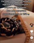 Прикрепленное изображение: 2.jpg