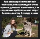 Прикрепленное изображение: 1617352879-ec21dff7b631e39dd57be6eed9679409.jpeg
