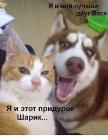 Прикрепленное изображение: Вася и Шарик.jpg