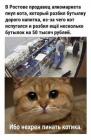 Прикрепленное изображение: 1713516165.jpg