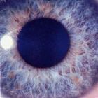 Прикрепленное изображение: swano.jpg