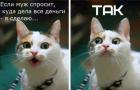 Прикрепленное изображение: _bEUBu54sAM.jpg