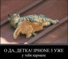 Прикрепленное изображение: Котис.JPG