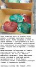 Прикрепленное изображение: cats459.JPG