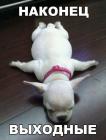 Прикрепленное изображение: image.jpeg