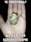 Прикрепленное изображение: IMG_1706.JPG