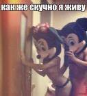 Прикрепленное изображение: image.jpeg