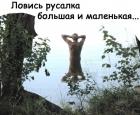 Прикрепленное изображение: image.jpeg
