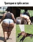 Прикрепленное изображение: image.jpeg