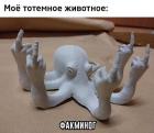 Прикрепленное изображение: image.jpeg