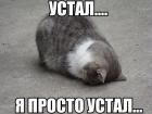 Прикрепленное изображение: EOE_YcmwPr0.jpg