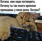 Прикрепленное изображение: Оксана нам надо поговорить.jpg