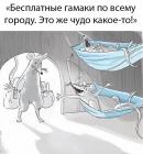 Прикрепленное изображение: Бесплатные гамаки.jpg