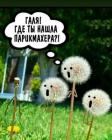Прикрепленное изображение: Где нашла парикмахера.jpg