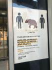 Прикрепленное изображение: Небольшой медведь.jpg