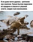Прикрепленное изображение: IMG_20210504_170821_046.jpg