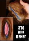Прикрепленное изображение: aB-bBQPh5AM.jpg