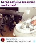 Прикрепленное изображение: wQ3MpACzcDc.jpg