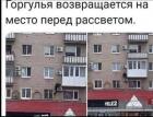 Прикрепленное изображение: 191551019_5709137402461480_4243559707526987283_n.jpg