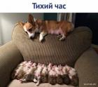 Прикрепленное изображение: 1653041567.jpg
