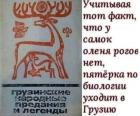 Прикрепленное изображение: 1747748125.jpg