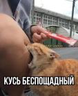 Прикрепленное изображение: 06.jpg