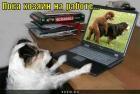 Прикрепленное изображение: poka_hozyain_na_rabote_1306600522.jpg