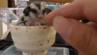 Прикрепленное изображение: 0_17876f_19fa1afd_orig.gif