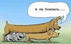 Прикрепленное изображение: image.jpeg
