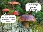 Прикрепленное изображение: 1499397637_smeshnye-kartinki-s-nadpisyami-12.jpg