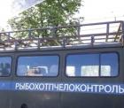 Прикрепленное изображение: Пчелоконтроль.jpg