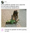 Прикрепленное изображение: 1591471878.jpg
