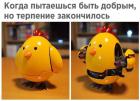 Прикрепленное изображение: orHqLV1q95E.jpg