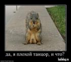 Прикрепленное изображение: x_5043219d.jpg