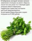 Прикрепленное изображение: IMG-20200618-WA0005.jpg
